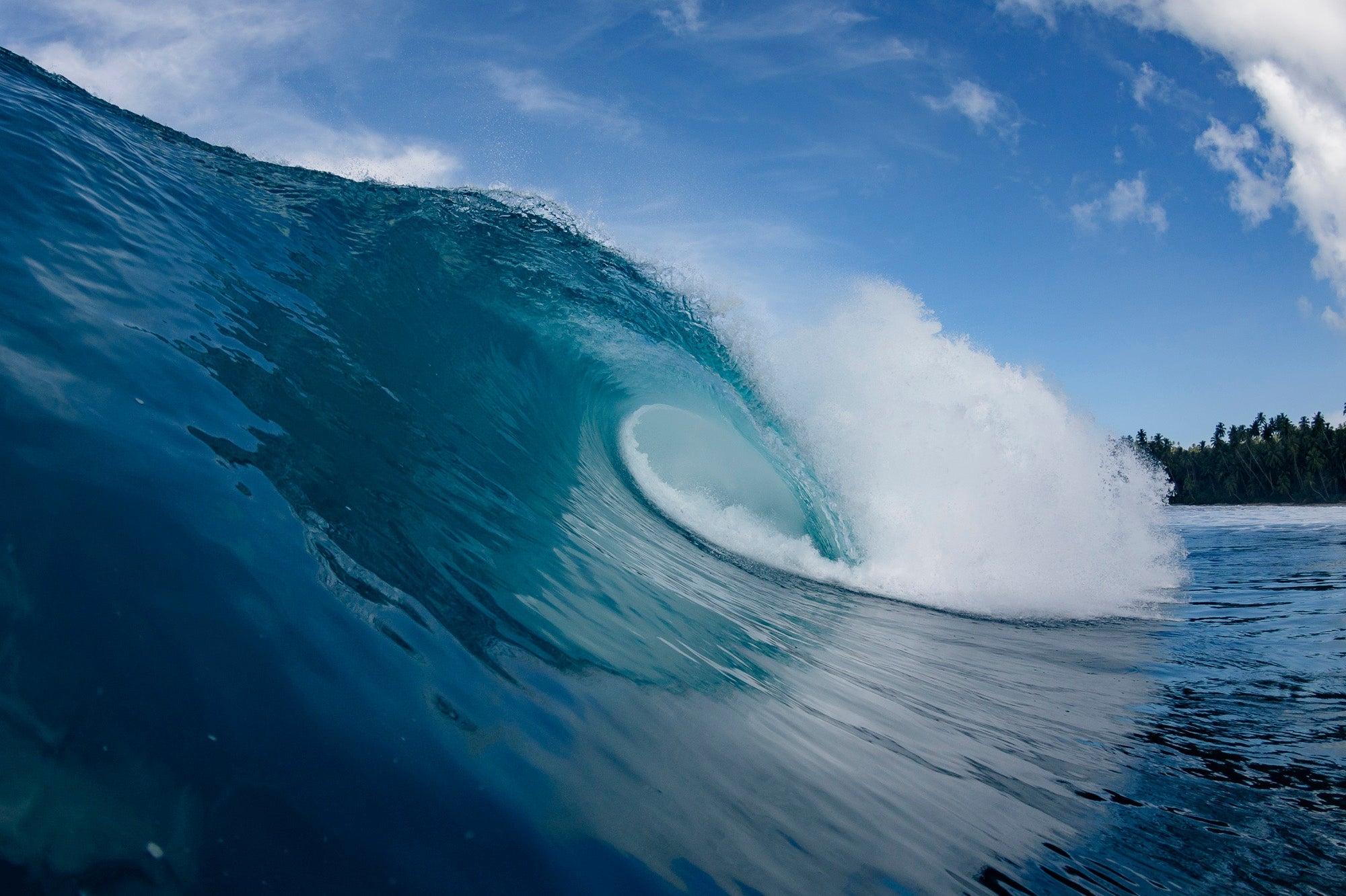 SUMMER FINAL SALE 2025 – VISSLA JAPAN 公式オンラインストア